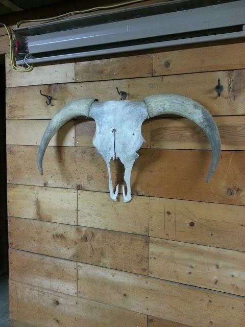 Misty Mountain Pizza